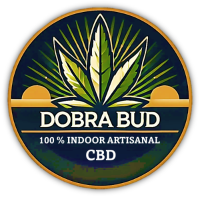 Dobra Bud